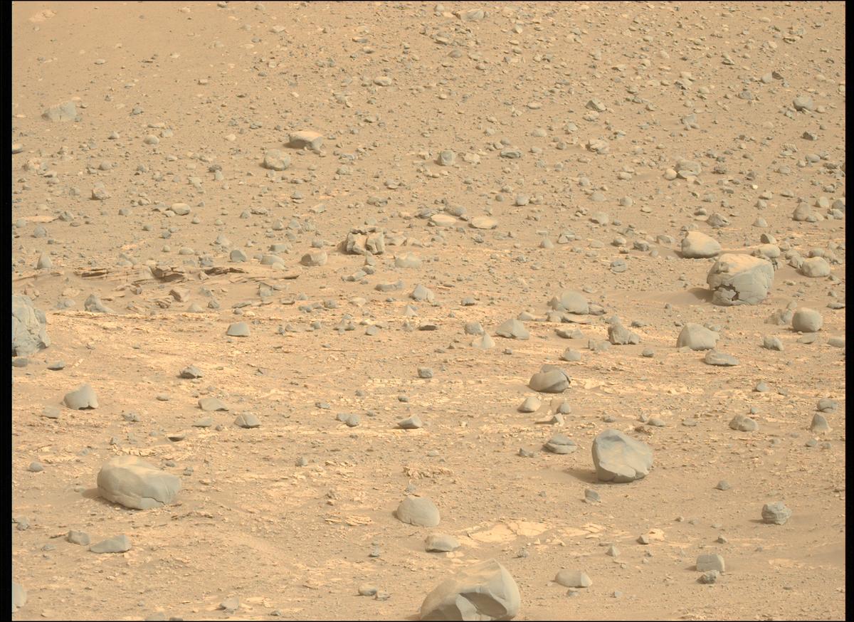 This image was taken by MCZ_LEFT onboard NASA's Mars rover Perseverance on Sol 614