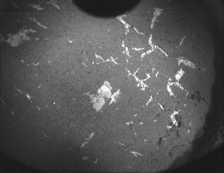 This image was taken by PIXL_MCC onboard NASA's Mars rover Perseverance on Sol 615