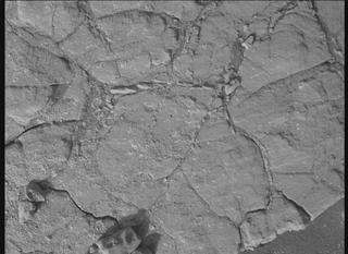 View image taken on Mars, Mars Perseverance Sol 615: WATSON Camera 