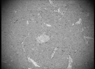 View image taken on Mars, Mars Perseverance Sol 617: SHERLOC ACI Camera 