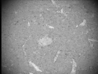 View image taken on Mars, Mars Perseverance Sol 617: SHERLOC ACI Camera 