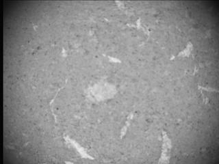 View image taken on Mars, Mars Perseverance Sol 617: SHERLOC ACI Camera 