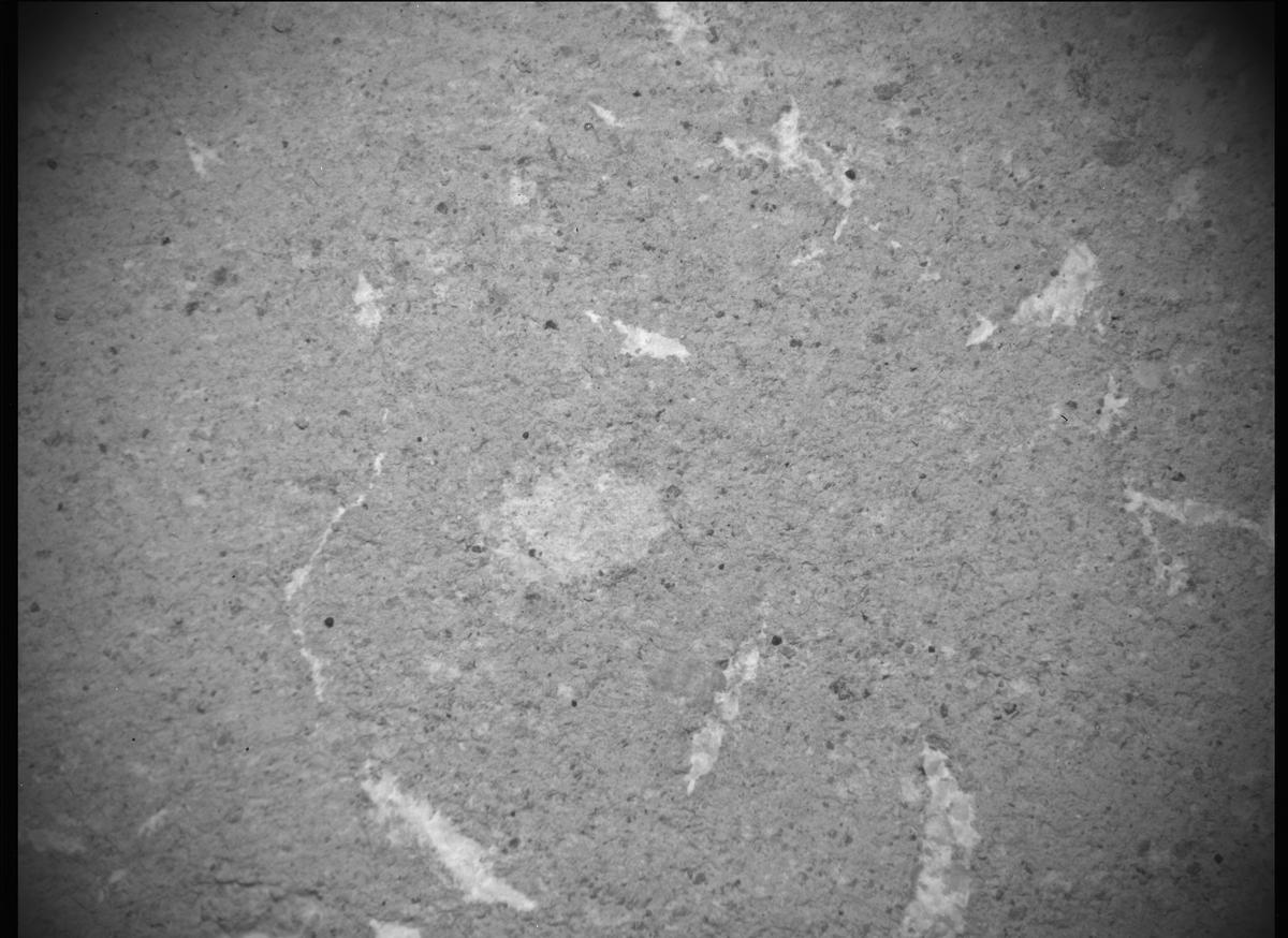 This image was taken by SHERLOC_ACI onboard NASA's Mars rover Perseverance on Sol 617