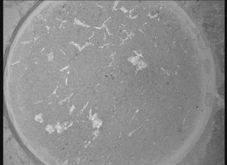 View image taken on Mars, Mars Perseverance Sol 617: WATSON Camera 