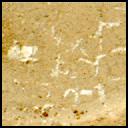 This image was taken by MCZ_LEFT onboard NASA's Mars rover Perseverance on Sol 619