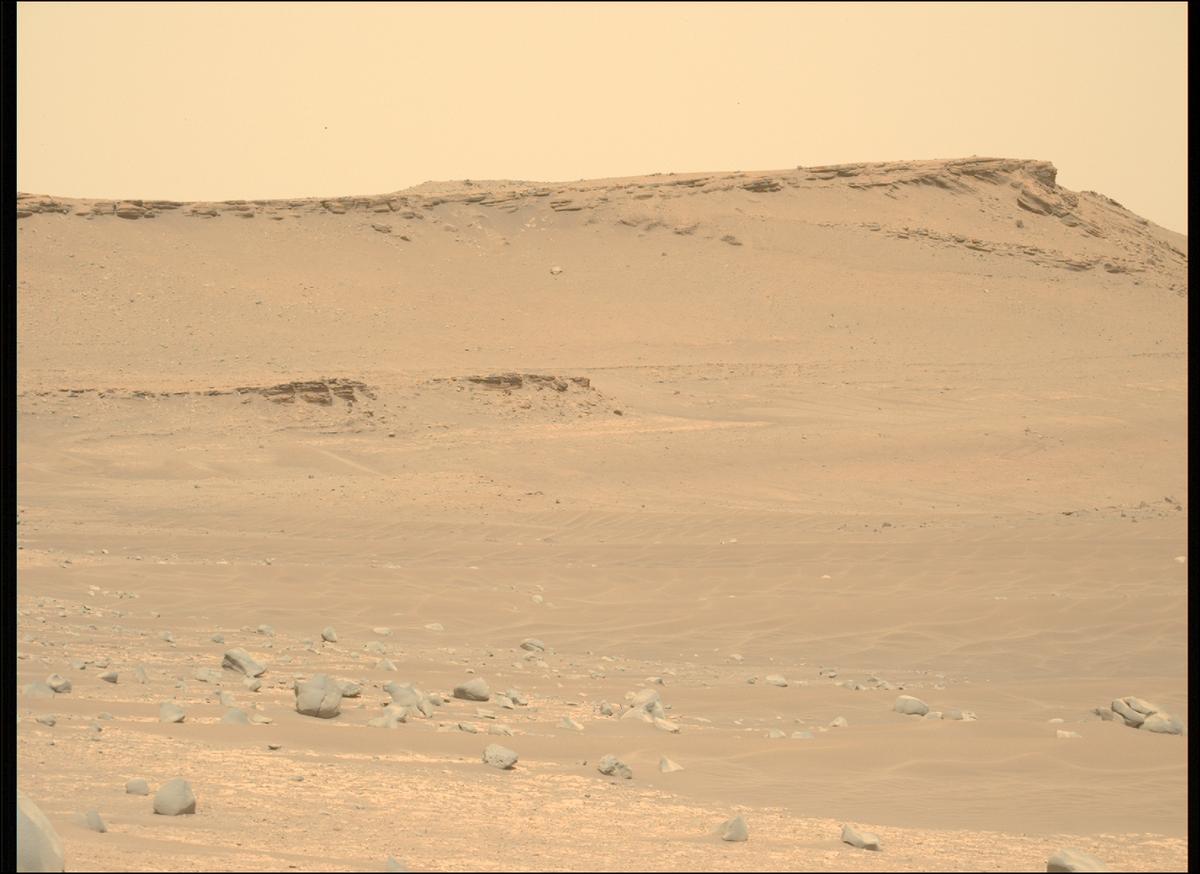 This image was taken by MCZ_LEFT onboard NASA's Mars rover Perseverance on Sol 619