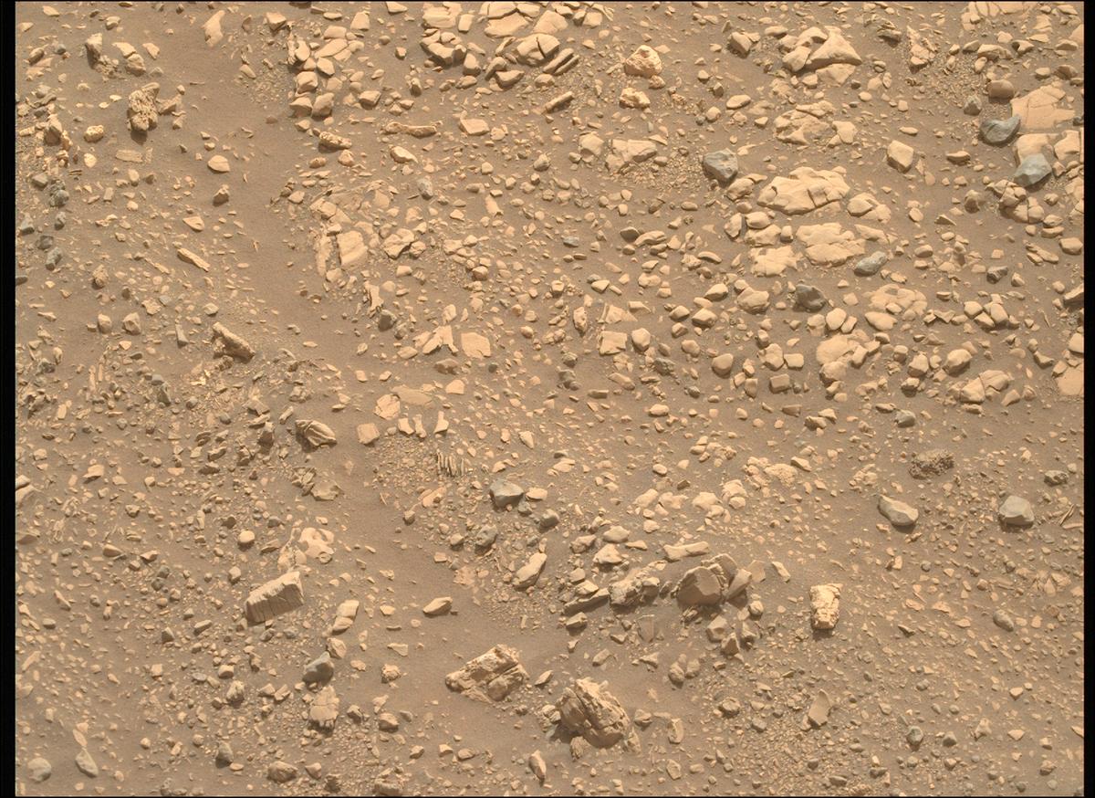 This image was taken by MCZ_RIGHT onboard NASA's Mars rover Perseverance on Sol 619