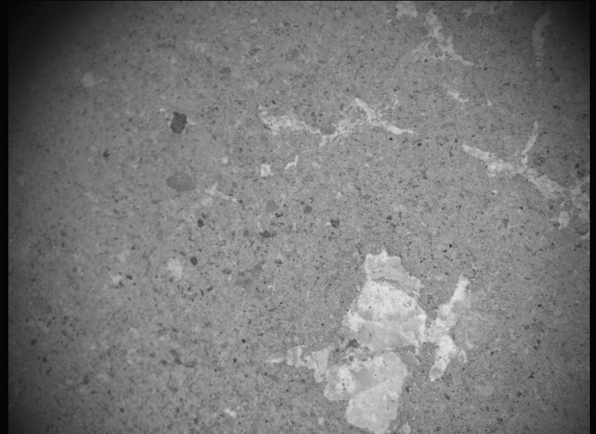 This image was taken by SHERLOC_ACI onboard NASA's Mars rover Perseverance on Sol 620