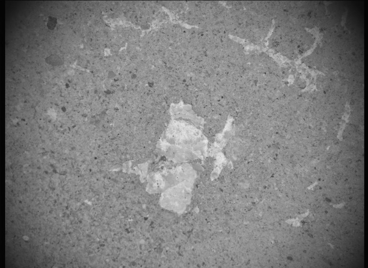 This image was taken by SHERLOC_ACI onboard NASA's Mars rover Perseverance on Sol 620