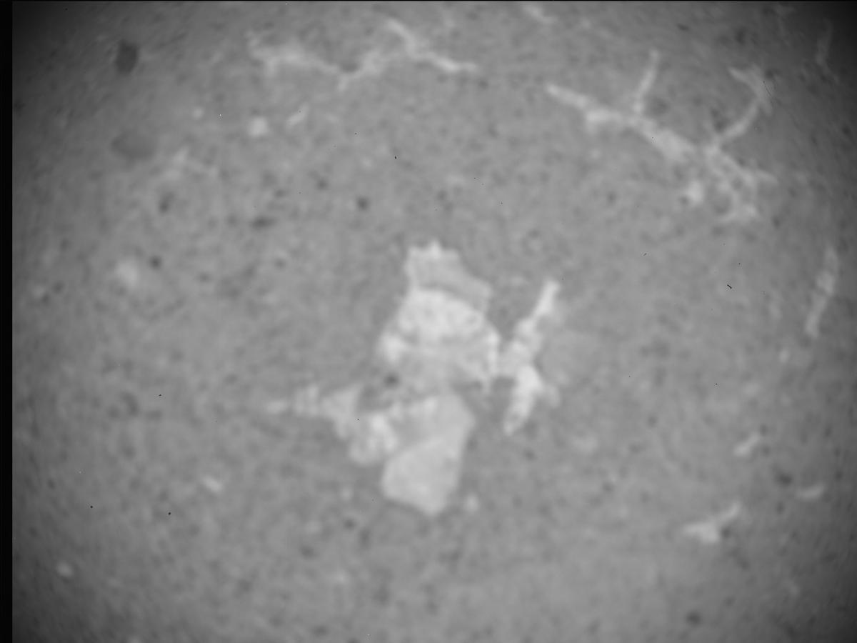 This image was taken by SHERLOC_ACI onboard NASA's Mars rover Perseverance on Sol 620