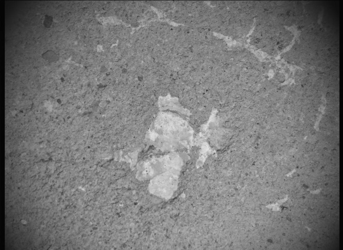 This image was taken by SHERLOC_ACI onboard NASA's Mars rover Perseverance on Sol 620