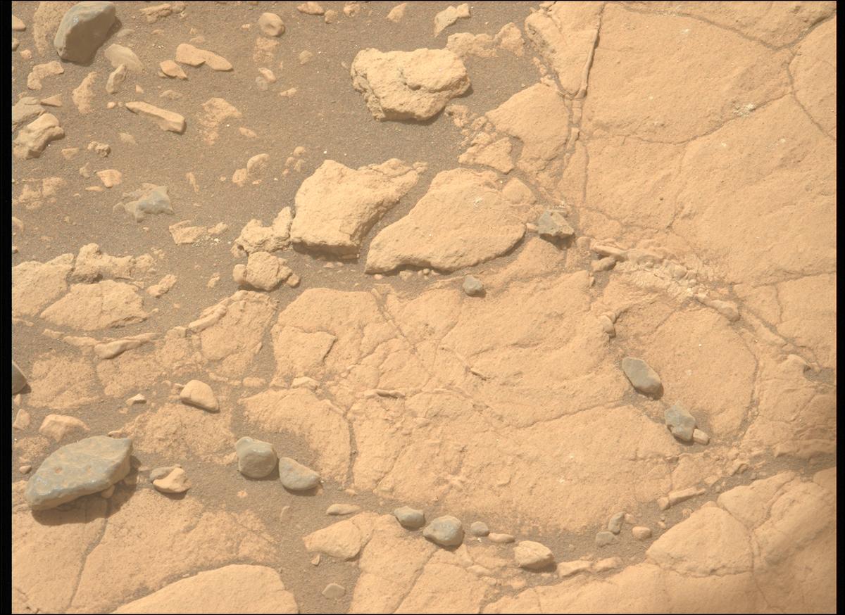 This image was taken by MCZ_LEFT onboard NASA's Mars rover Perseverance on Sol 620