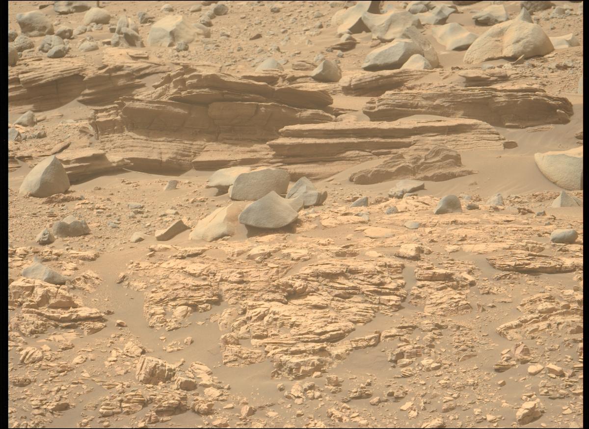 This image was taken by MCZ_LEFT onboard NASA's Mars rover Perseverance on Sol 621