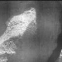 View image taken on Mars, Mars Perseverance Sol 626: Right Mastcam-Z Camera
