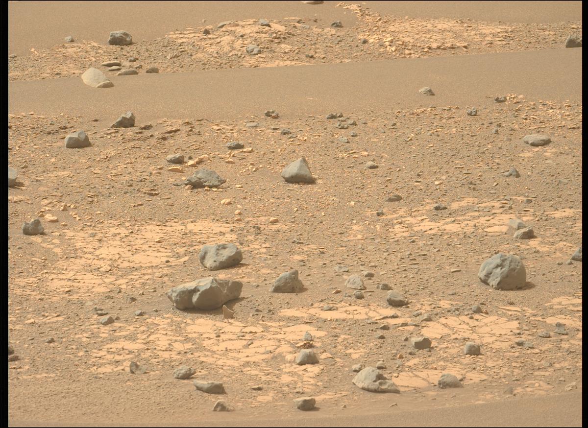 This image was taken by MCZ_LEFT onboard NASA's Mars rover Perseverance on Sol 629