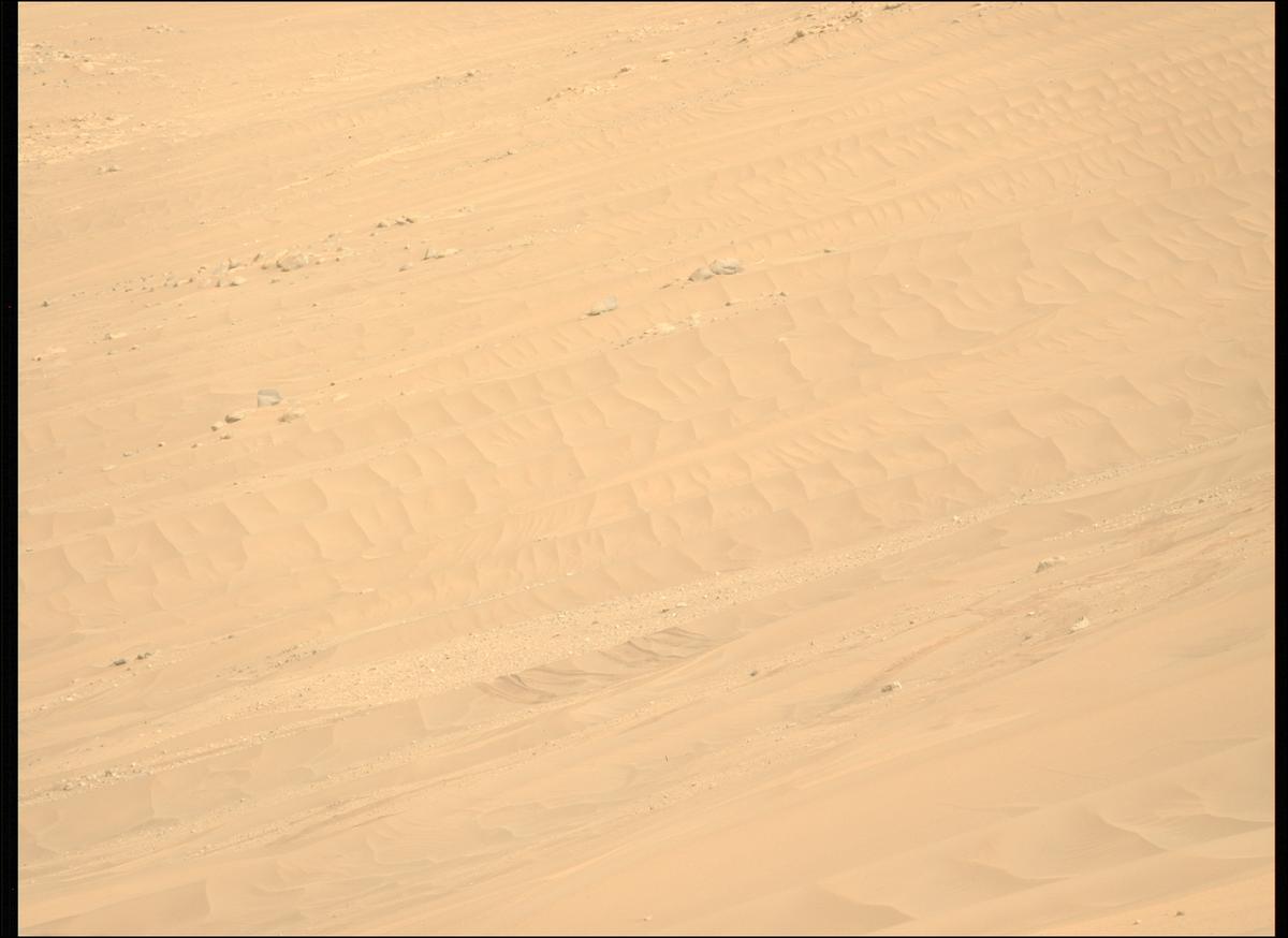 This image was taken by MCZ_LEFT onboard NASA's Mars rover Perseverance on Sol 629