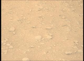View image taken on Mars, Mars Perseverance Sol 629: Left Mastcam-Z Camera
