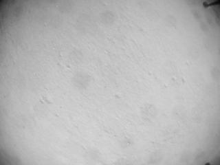 View image taken on Mars, Mars Helicopter Sol 635: Navigation Camera