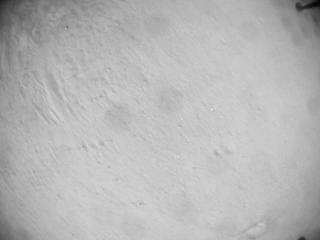 View image taken on Mars, Mars Helicopter Sol 635: Navigation Camera
