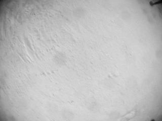 View image taken on Mars, Mars Helicopter Sol 635: Navigation Camera