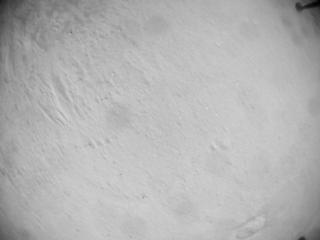 View image taken on Mars, Mars Helicopter Sol 635: Navigation Camera