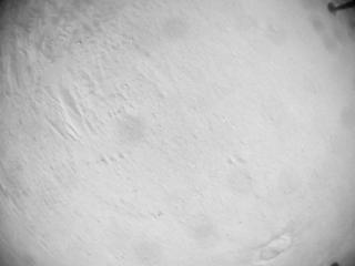 View image taken on Mars, Mars Helicopter Sol 635: Navigation Camera