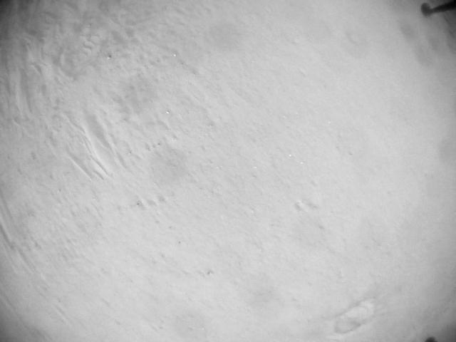 This image was taken by HELI_NAV onboard NASA's Mars rover Perseverance on Sol 635