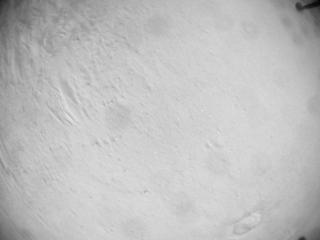 View image taken on Mars, Mars Helicopter Sol 635: Navigation Camera