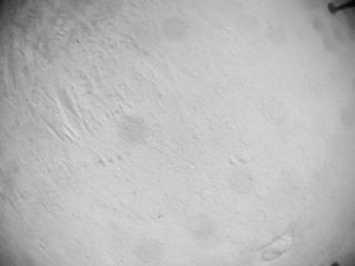 View image taken on Mars, Mars Helicopter Sol 635: Navigation Camera