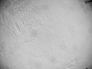 View image taken on Mars, Mars Helicopter Sol 635: Navigation Camera