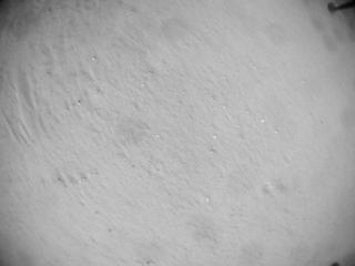 View image taken on Mars, Mars Helicopter Sol 635: Navigation Camera