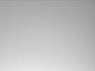 View image taken on Mars, Mars Perseverance Sol 635: Left Mastcam-Z Camera