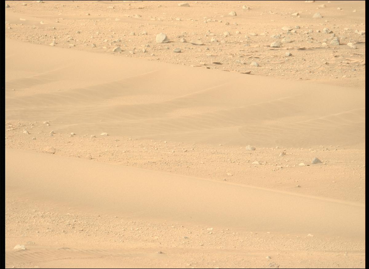 This image was taken by MCZ_LEFT onboard NASA's Mars rover Perseverance on Sol 641