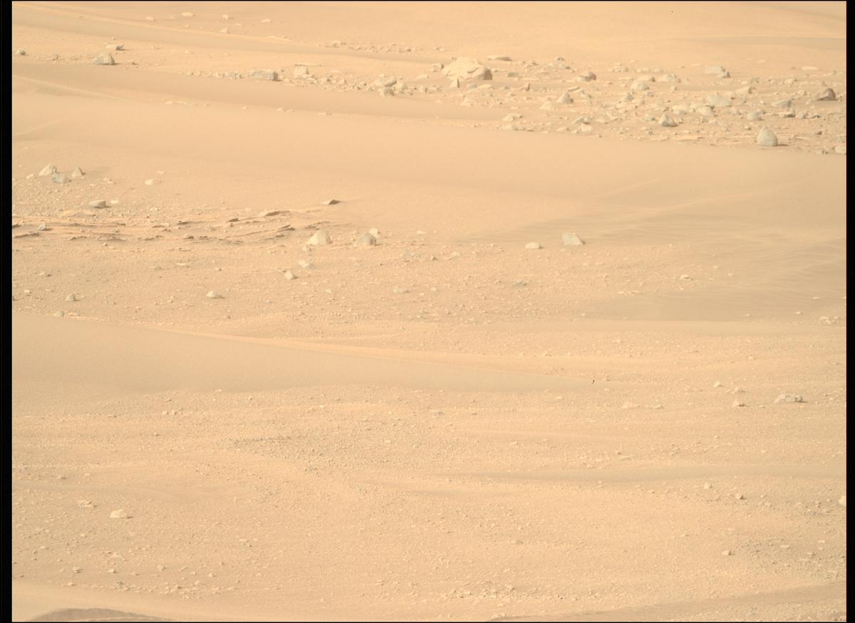 This image was taken by MCZ_RIGHT onboard NASA's Mars rover Perseverance on Sol 641