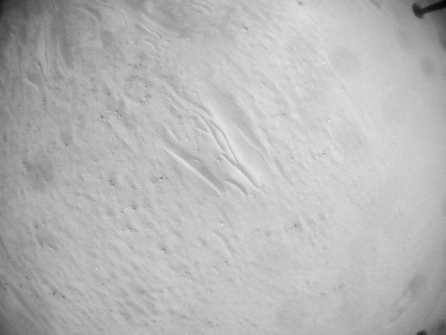 This image was taken by HELI_NAV onboard NASA's Mars rover Perseverance on Sol 642