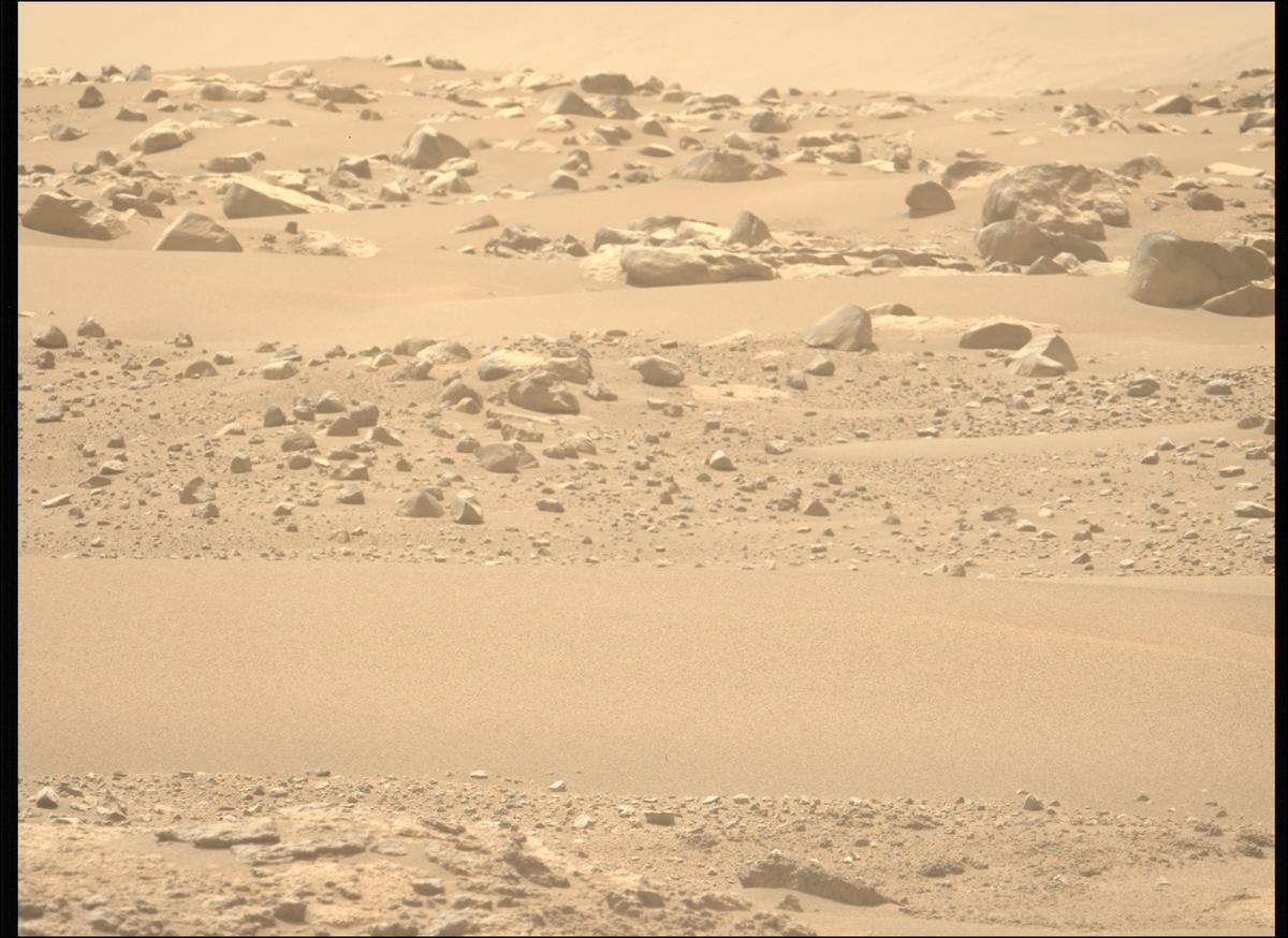 This image was taken by MCZ_LEFT onboard NASA's Mars rover Perseverance on Sol 642