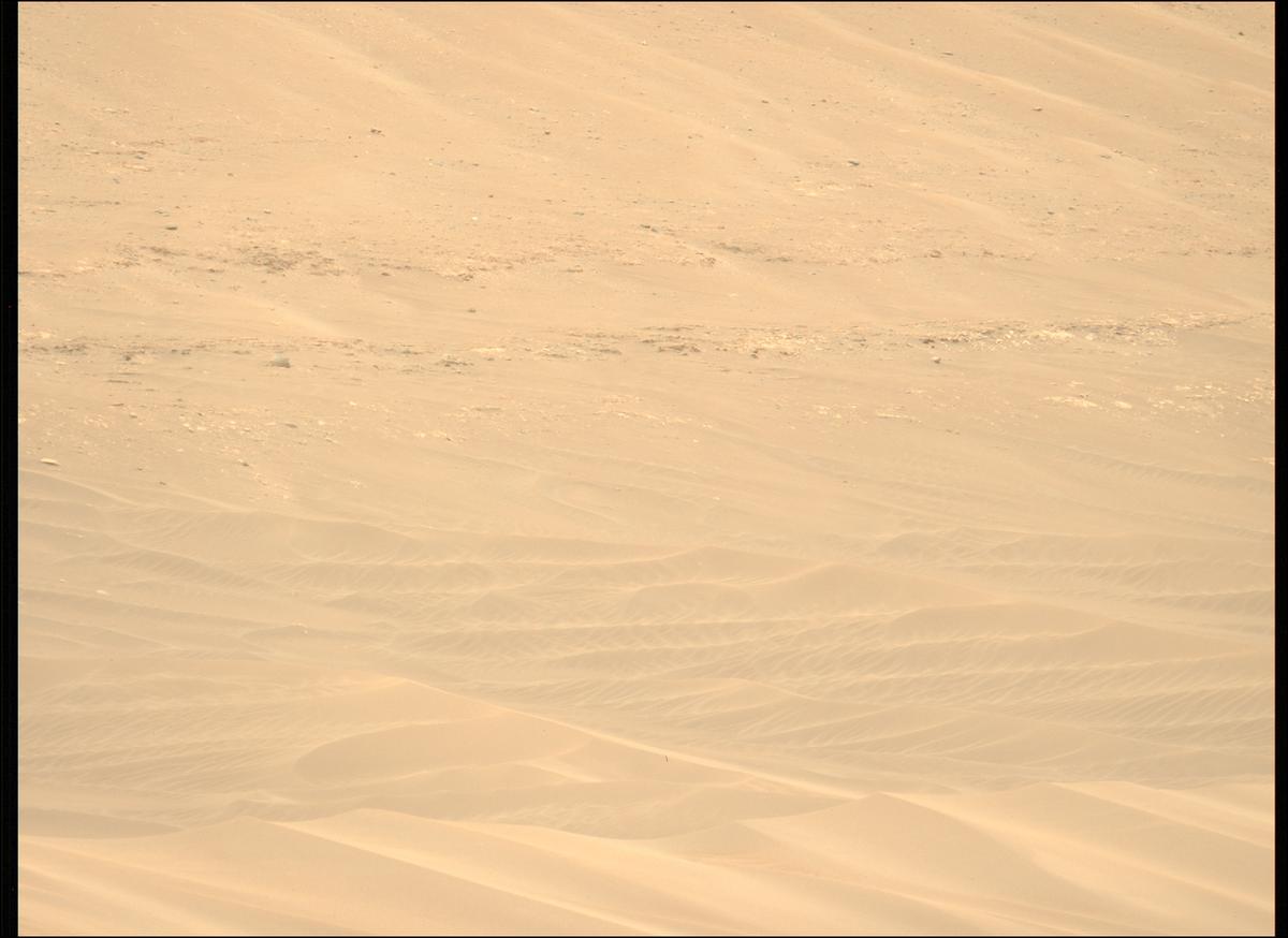 This image was taken by MCZ_LEFT onboard NASA's Mars rover Perseverance on Sol 647