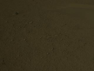 View image taken on Mars, Mars Perseverance Sol 650: Right Navigation Camera (Navcam)