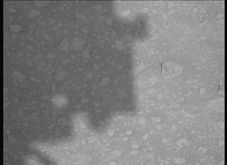 View image taken on Mars, Mars Perseverance Sol 652: Right Mastcam-Z Camera