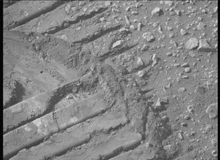 View image taken on Mars, Mars Perseverance Sol 655: Left Mastcam-Z Camera