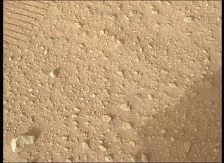 View image taken on Mars, Mars Perseverance Sol 663: Left Mastcam-Z Camera