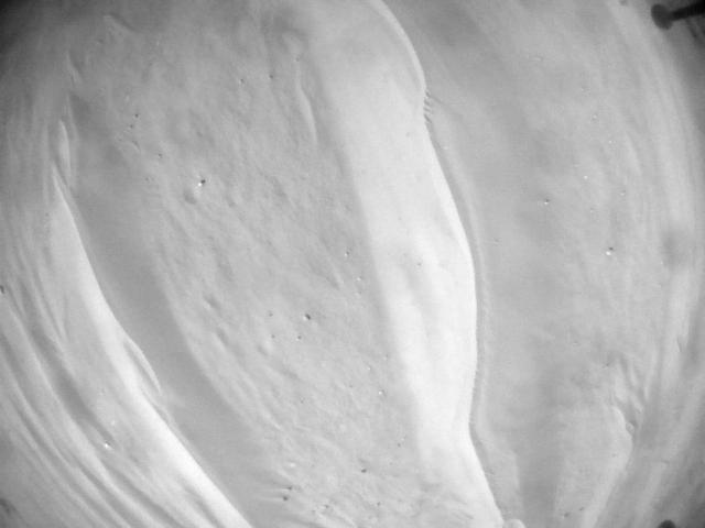 This image was taken by HELI_NAV onboard NASA's Mars rover Perseverance on Sol 667