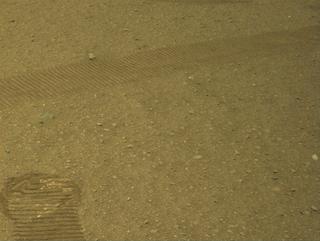 View image taken on Mars, Mars Perseverance Sol 667: Right Navigation Camera (Navcam)