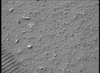View image taken on Mars, Mars Perseverance Sol 667: Right Mastcam-Z Camera