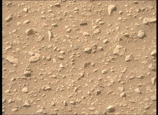 View image taken on Mars, Mars Perseverance Sol 667: Right Mastcam-Z Camera
