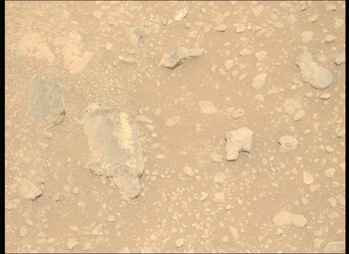 This image was taken by MCZ_LEFT onboard NASA's Mars rover Perseverance on Sol 668