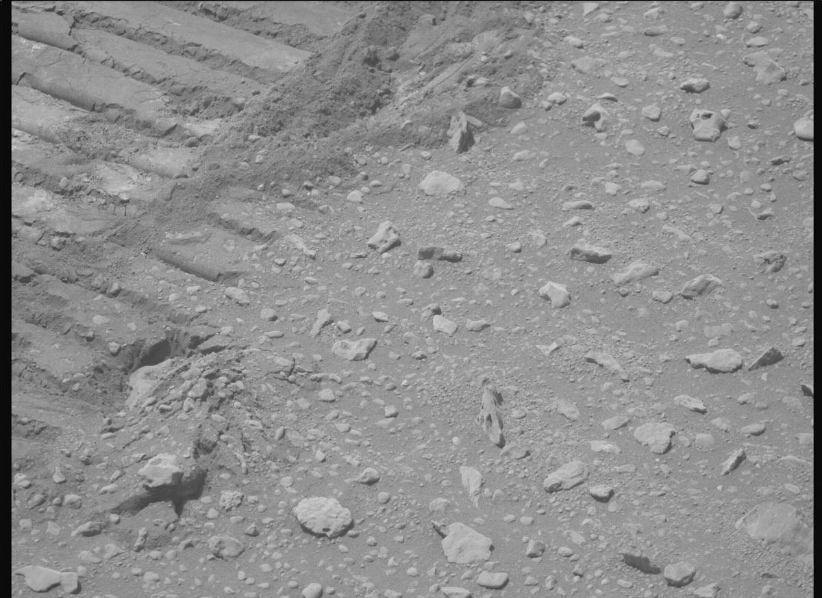 This image was taken by MCZ_RIGHT onboard NASA's Mars rover Perseverance on Sol 668