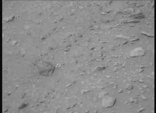 View image taken on Mars, Mars Perseverance Sol 669: Right Mastcam-Z Camera