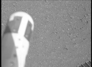 View image taken on Mars, Mars Perseverance Sol 670: Right Mastcam-Z Camera