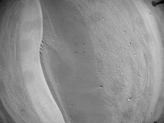 View image taken on Mars, Mars Helicopter Sol 673: Navigation Camera
